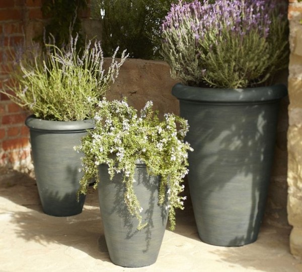 Tipy na dekoráciu pre výsadbu jarnej záhrady