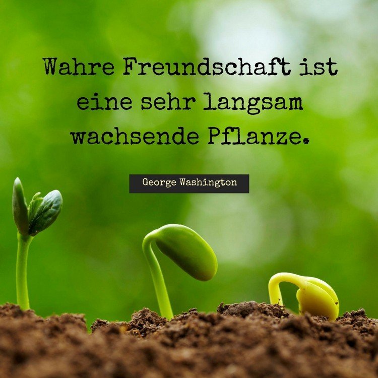 citáty-pravdivé-priateľstvo-george-washington-plant