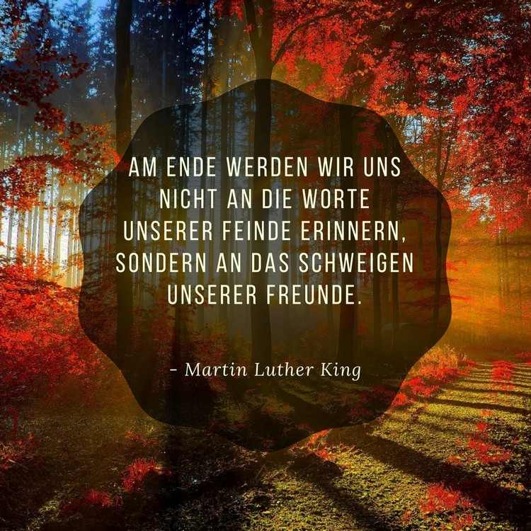 citáty-priateľstvo-martin-luther-king-ticho