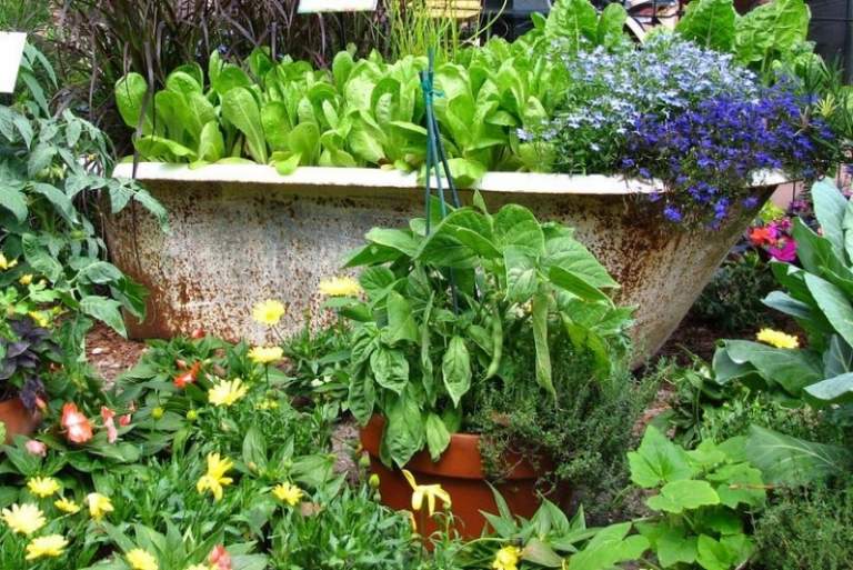 Kreatívne-záhradné nápady-záhradná dekorácia-stará-vaňa