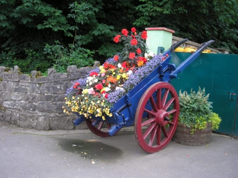 Kreatívne-záhradné nápady-záhradná dekorácia-fúrik-rastlina