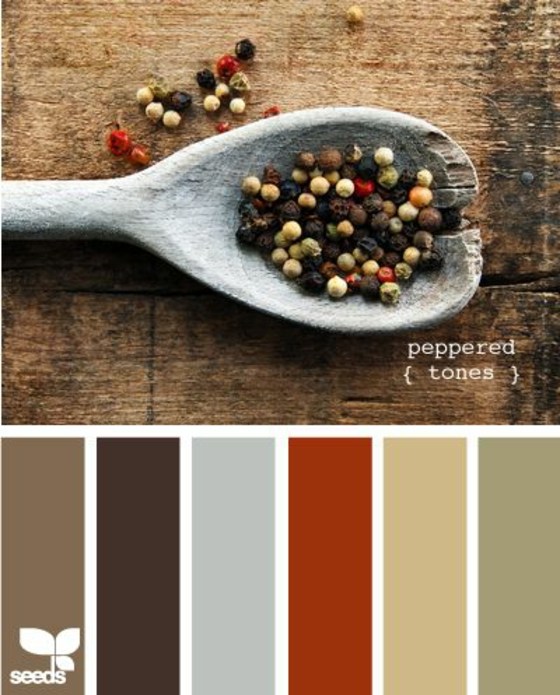 Voľba variácií čierneho korenia v izbovej farbe Korenie-tóny-korenie-ako-farba na stenu