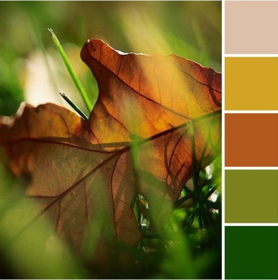 Prírodná inšpirácia pre farby oranžovo zelená paleta farieb List oranžovo-zelenej palety