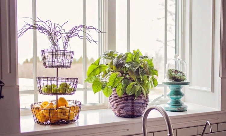 Na stojan na ovocie môžete použiť kuchynský parapet dekor okenný parapet kuchynská zostava stojan na ovocie vtáčie hniezdo drotár