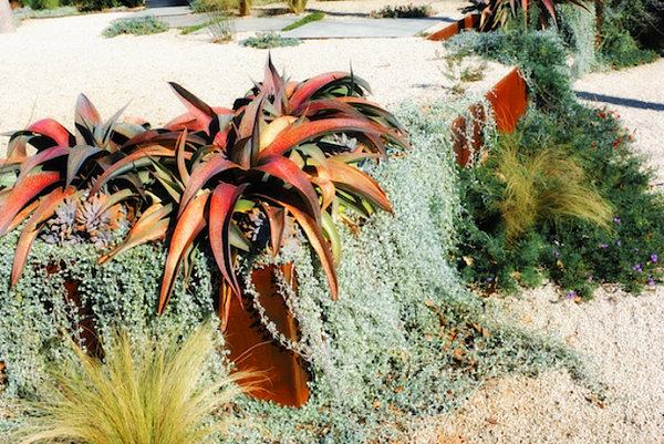 závesné rastliny tipy pre moderný záhradný dizajn