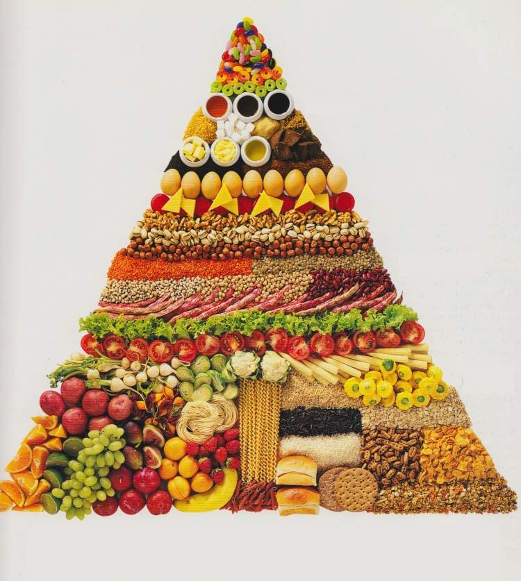 Jesenné recepty vegetariánsko-potravinová-pyramída-živiny-zelenina-uhľohydráty