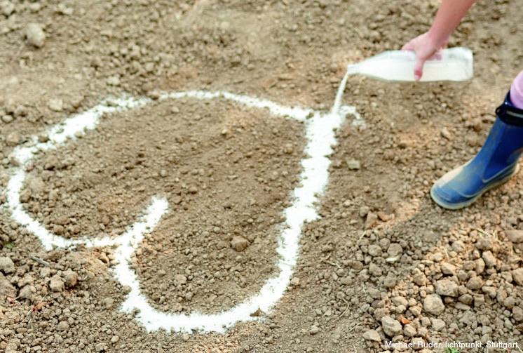 Garden Lifehacks - Označenie postelí pieskom