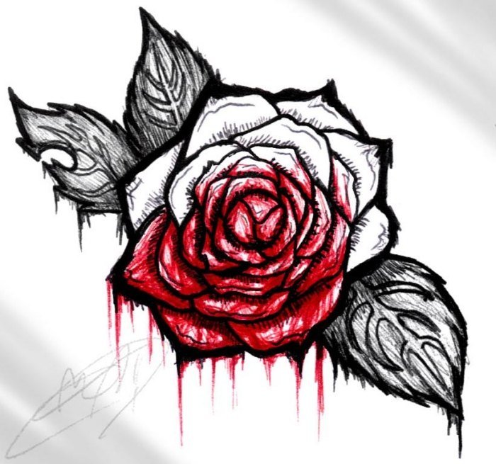 Šablóna tetovania Krvavá ruža Význam a symbolika tetovanie-šablóny-ruža-s-krvou-význam-tetovanie-s-ružou