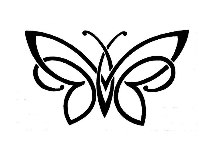 kmeňový motýľ tetovanie design lineárne ilustrácie kmeňový motýľ-tetovanie-nápady-čierno-biele