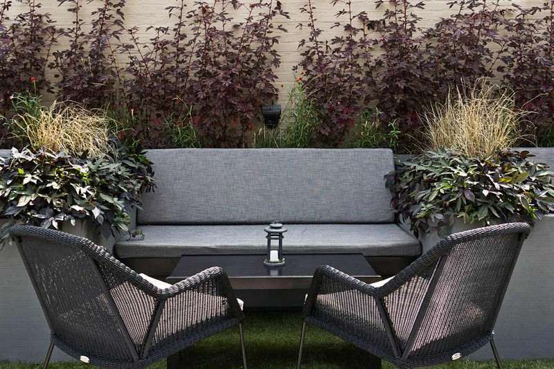 Záhradné nápady-vysoké popínavé rastliny-drevená pohovka čalúnená stenou