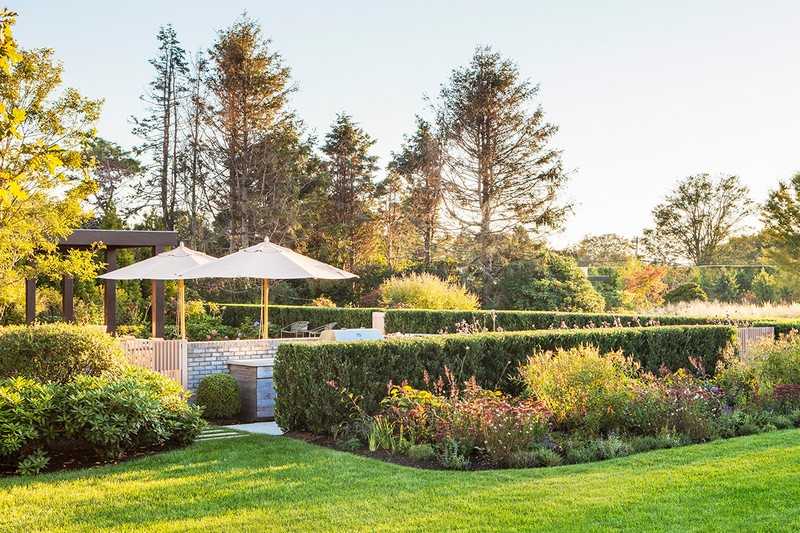 Záhradné nápady-živé ploty-kvety-namiesto-záhradného plotu