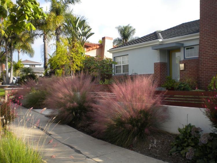 záhradný dizajn-predný dvor-okrasná-tráva-ružovo-vlasová tráva