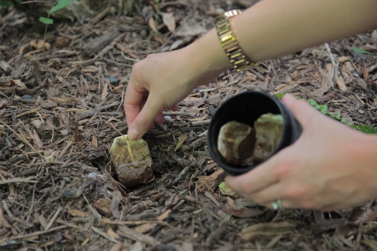 Zlepšenie pôdy-záhradné-prostriedky-tipy-čajové vrecúška