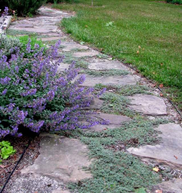 nápad na vytvorenie dlažby takmer prírodný pôdopokryvový nášľapný kameň nášľapná vrstva prírodného zemného krytu kladúca chodník