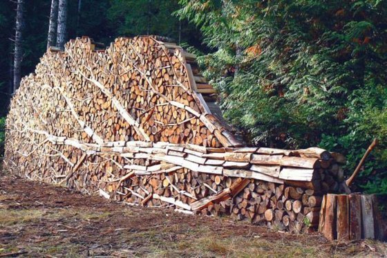 Klasifikujte palivové drevo zo stromového dreva Drevená doska-záhrada-palivové drevo