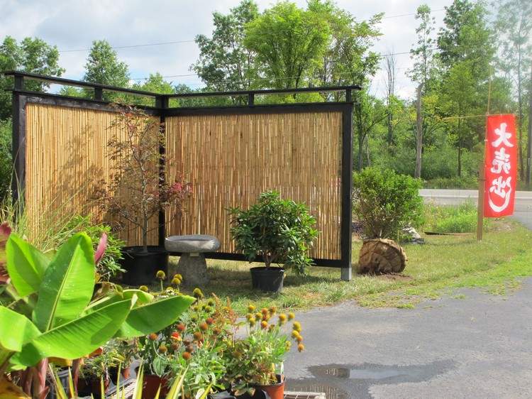 Bambusová záhrada-súkromie-obrazovky-zenový pocit