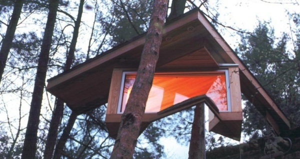 Cadyville Sauna sklenený les Cadyville saunový sklenený les