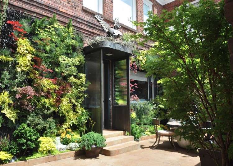 tipy na ochranu proti hluku z vertikálnej výsadby v záhrade