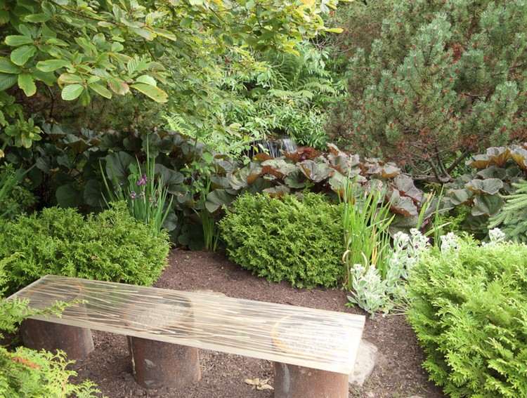 hustá vegetácia ako ochrana pred hlukom v záhrade