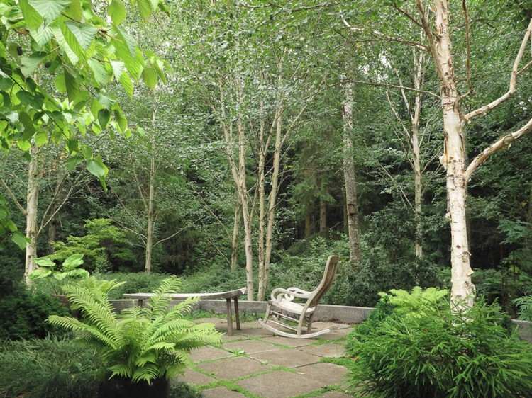 protihluková ochrana záhradná rastlina vysoké stromy husto