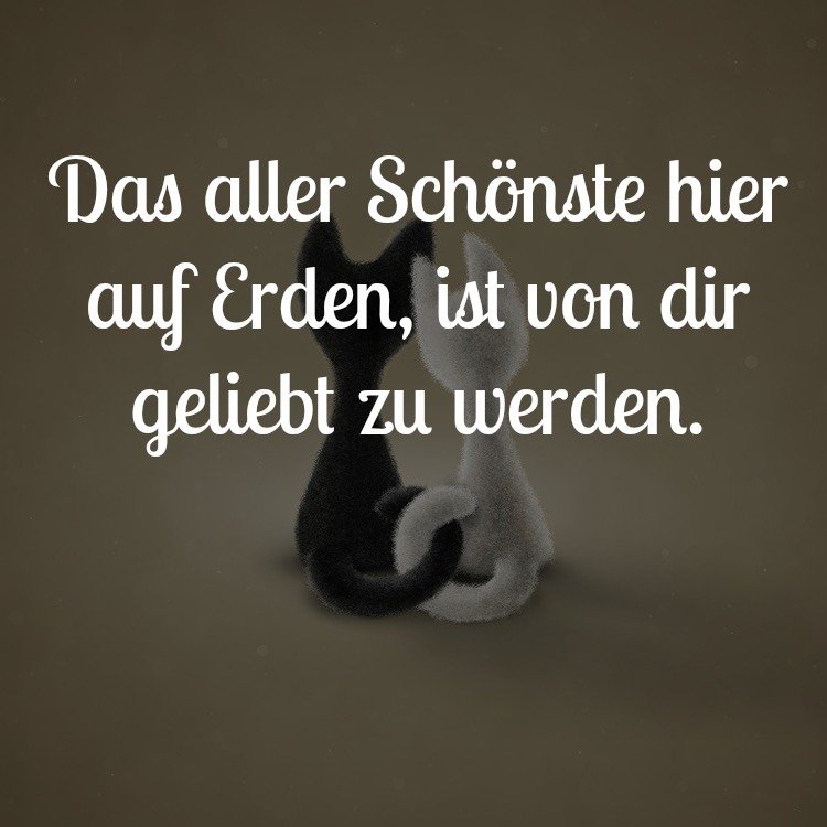 whatsapp-status-sayings-profile-obrázky-láska-najkrajšia-zem-sú-milované-mačky