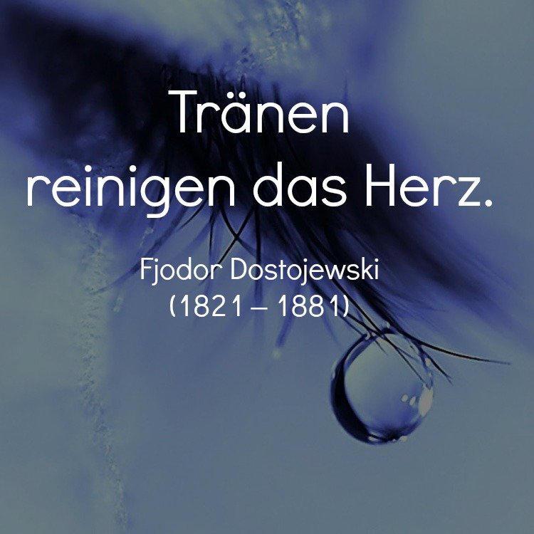 whatsapp-status-výroky-profilové obrázky-smutné-slzy-citáty-múdrosť