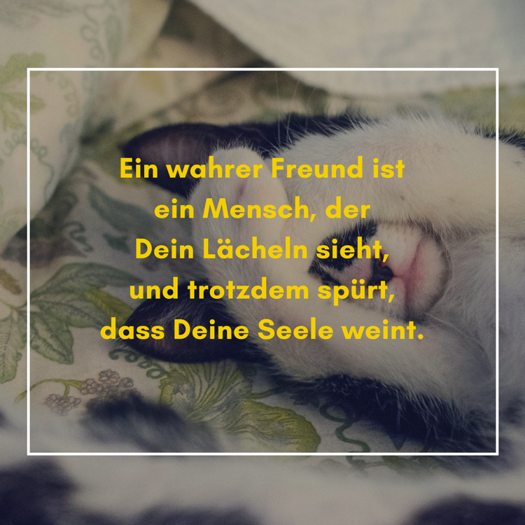 whatsapp-profile-obrázky-výroky-priateľstvo-skutočný priateľ