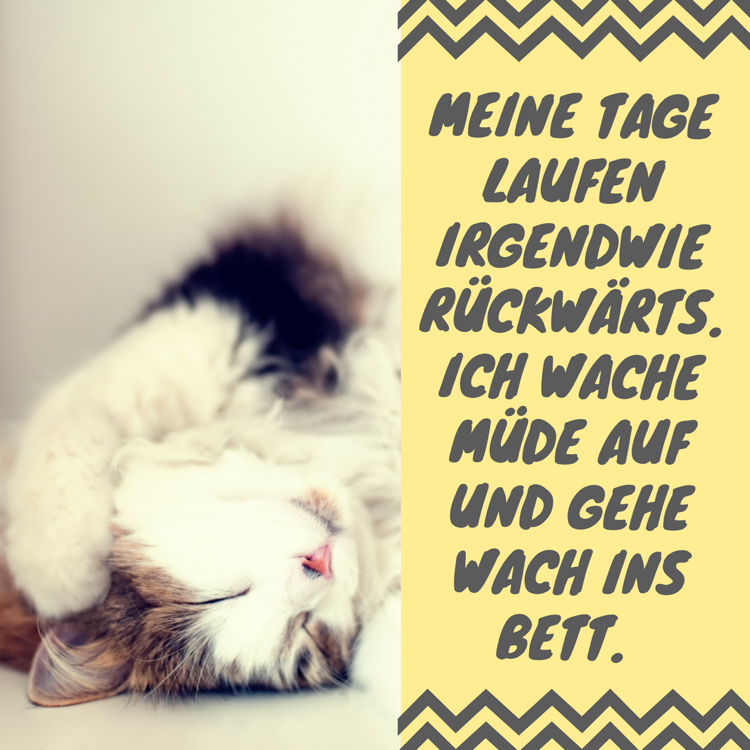 whatsapp-profilové-obrázky-citáty-vtipné-vstávanie-ráno