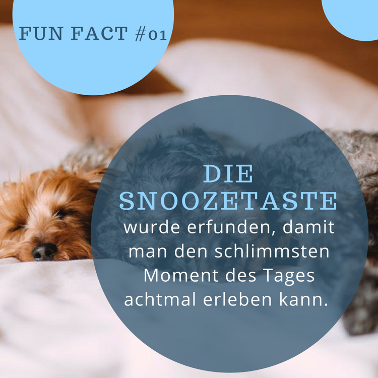 whatsapp-profile-images-quotes-funny-get-up-snooze-button