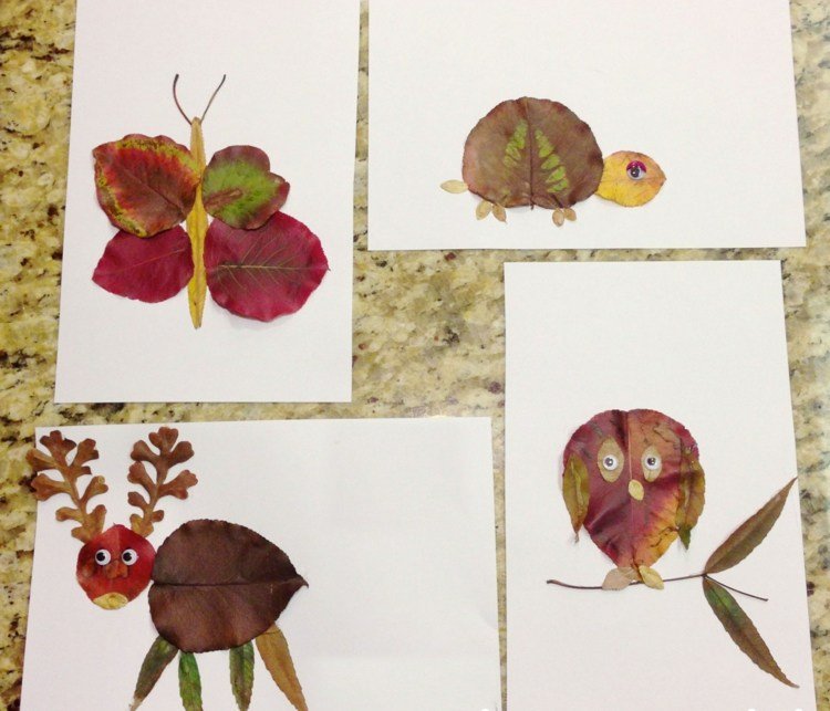 drotárske lístie zvieratá lepiť obrázky jeleň korytnačka sova motýľ