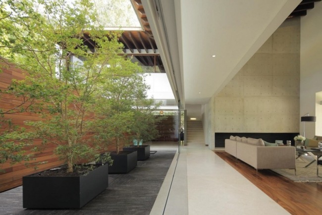 stromy vane obývacia izba jednoduchý štýl sedací stôl stromy vane obývačka jednoduchý štýl vkusný zaujímavá odroda