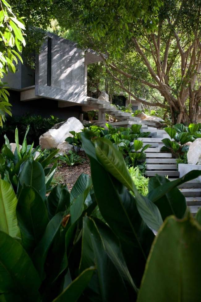 predzáhradka rajský veľký strom guľovitá koruna mnoho schodov predzáhradka rajský veľký guľovitý strom veľa výsadby čerstvé vítané