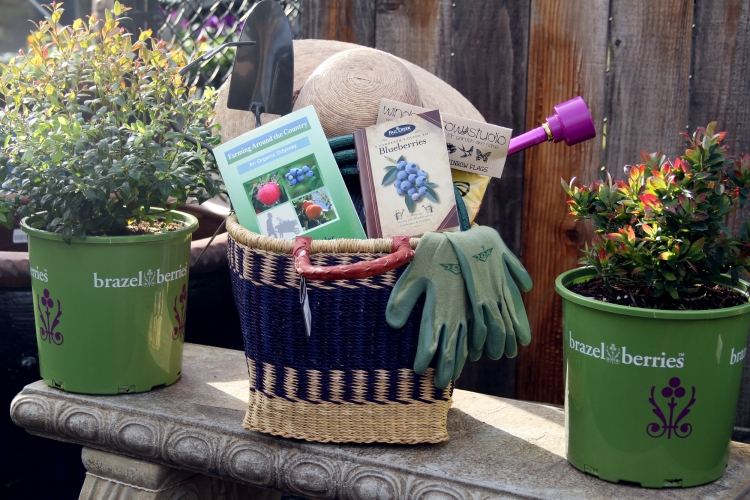 lúčenie-darčeky-kolegovia-manželka-dôchodok-záhrada-hobby