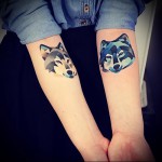 két husky kutya - tetoválás akvarell fotó