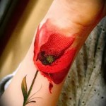 piros mák a kezében - tetoválás akvarell fotó