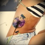 Pitypang és szitakötő - tetoválás akvarell fotó