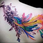 páva - tetoválás akvarell fotó