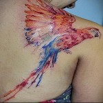 papagáj ara - tetoválás akvarell fotó