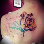 tigris - tetoválás akvarell fotó