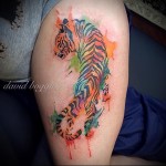 tigris hátulnézet - tetoválás akvarell fotó