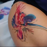 minta a combon - tetoválás akvarell fotó