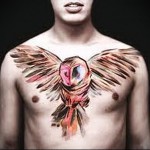 Bagoly teljes mellkason egy srácnak - akvarell tetoválás fotó