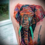 chlon agyarakkal - tetoválás akvarell fotó