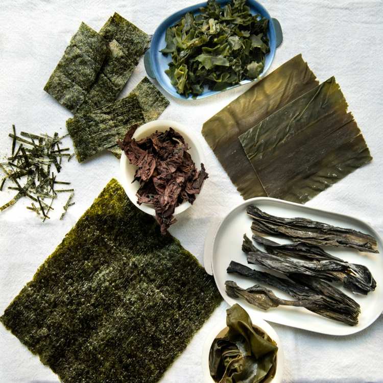 šalát z morských rias recept wakame nori červené morské riasy sušené