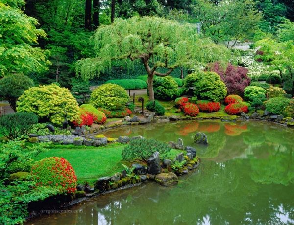 Pond-in-the-garden-building-method-japanese-inspired-style