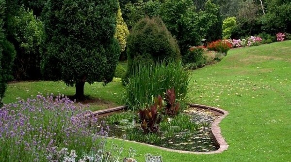 záhradná krajina-rybník-jama-naplnená-zmes-mokrej-rašeliny-humusu