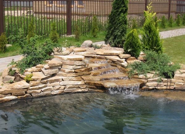 Záhradné jazierko-vytvorte-skaly-na-brehu-upravte-vhodné-vegetačné-tipy na rastliny