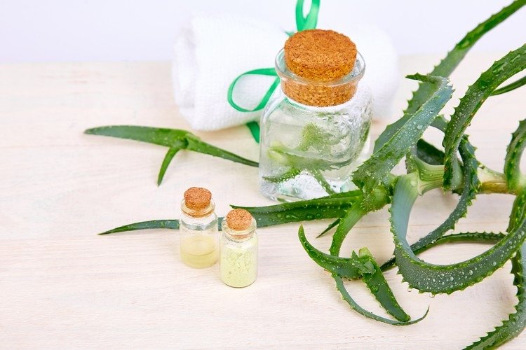 Tipy na starostlivosť o tvár Domáce prostriedky na pleťovú masku z akné aloe vera DIY