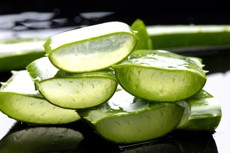 aloe vera aplikácia rastlín telové vitamíny minerály