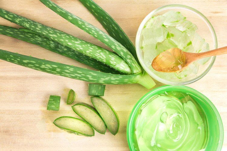 aloe vera aplikácia rastlín vnútorné zdravie krása